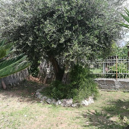 B&B Bellavista Savone Extérieur photo