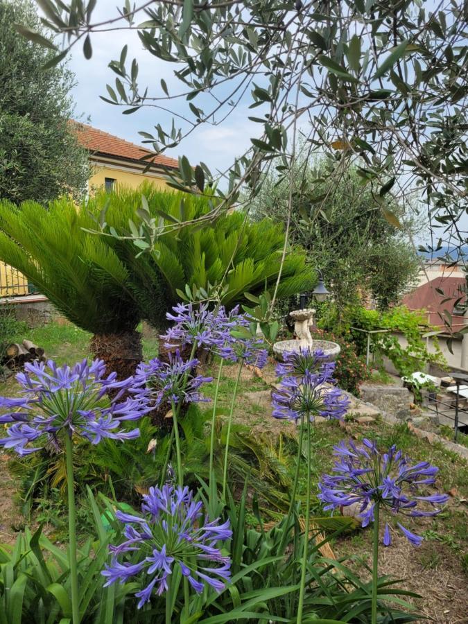 B&B Bellavista Savone Extérieur photo
